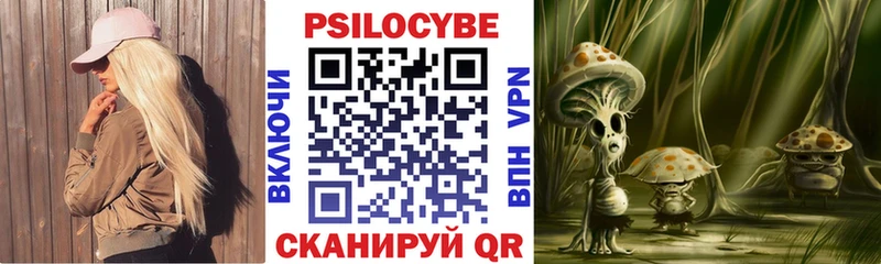 сколько стоит  Суворов  Псилоцибиновые грибы Psilocybine cubensis 